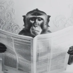 Bouclair Monkey in Bathtub Printed Framed Canvas* Printed & Photography Wall Art Canvases