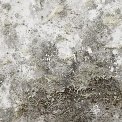 Bouclair Oil Painted Embellished Tree Canvas* Oil Paintings