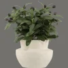 Bouclair Olive Plant in Ceramic Pot* Artificial Plants
