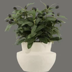 Bouclair Olive Plant in Ceramic Pot* Artificial Plants
