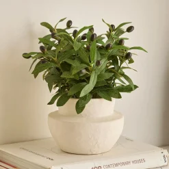 Bouclair Olive Plant in Ceramic Pot* Artificial Plants