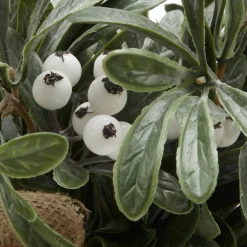 Bouclair Potted Artificial Plant with White Berries* Artificial Plants