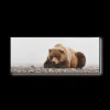 Bouclair Resting Bear Framed Art* Printed & Photography Wall Art Canvases