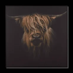 Bouclair Scottish Highland Cattle Framed Printed Canvas* Printed & Photography Wall Art Canvases