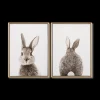 Bouclair Set of 2 Bunny Framed Canvases* Printed & Photography Wall Art Canvases