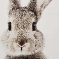 Bouclair Set of 2 Bunny Framed Canvases* Printed & Photography Wall Art Canvases