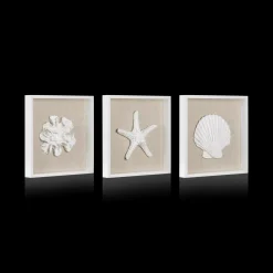 Bouclair Set of 3 Seashells Framed Art* Wall Decorations