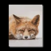 Bouclair Sleeping Fox Wall Art* Printed & Photography Wall Art Canvases