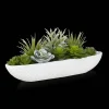 Bouclair Succulents in Cement Tray* Artificial Plants