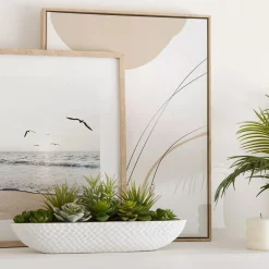 Bouclair Succulents in Cement Tray* Artificial Plants