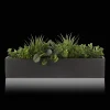 Bouclair Succulents in Ceramic Pot* Artificial Plants