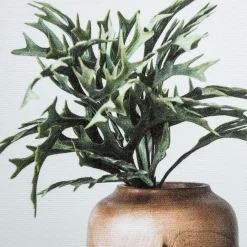 Bouclair Succulents in Wood Vases Printed Canvas* Printed & Photography Wall Art Canvases