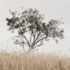 Bouclair Typography Framed Art* Printed & Photography Wall Art Canvases