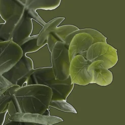 Bouclair Waterfall Eucalyptus in Black Pot* Artificial Plants